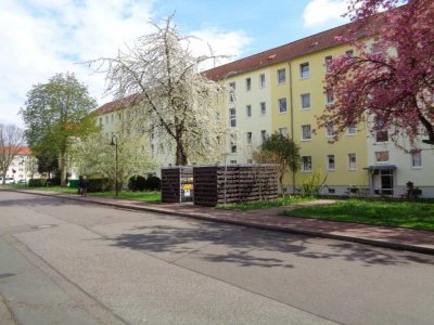 3-Raumwohnung im Erdgeschoss mit Balkon