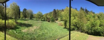 Waldrandwohnung in ruhiger Lage für 1-2 Personen, keine WG!