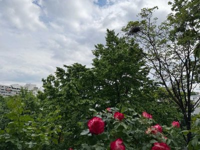 Haus im Haus**  Großzügige 3 1/2-(41/2)-Zimmer-Maisonettewohnung mit 2 Südterrassen im Olympiadorf
