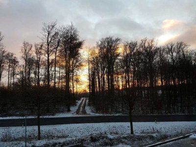 Gepflegte 2-Zimmer-Wohnung mit Balkon in Schieder-Schwalenberg
