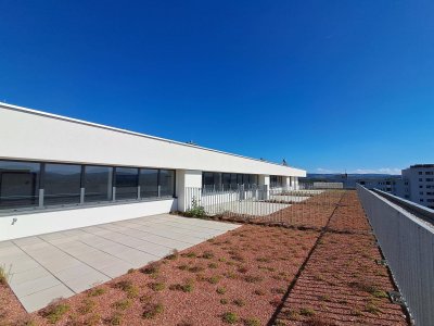 WEINZIERL XIII B - 77