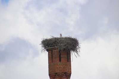 Gepflegtes Einfamilienhaus mit großzügigem Grundstück mit guter Erreichbarkeit der Ostsee