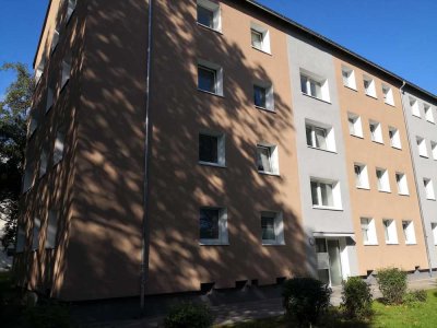 **Sie suchen eine bezugsfertige 3-Zimmer-Wohnung im EG!**