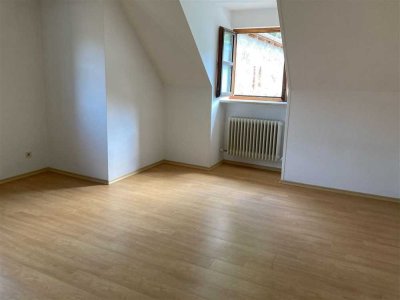 Schönes 1-Zimmer Apartment in ruhiger Lage in unmittelbarer Nähe zum Stadtzentrum!