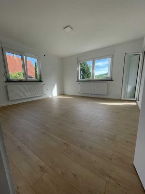 Helle kernsanierte 3,5 Zimmer Wohnung 85m2 inkl. 40 m2 Terrasse