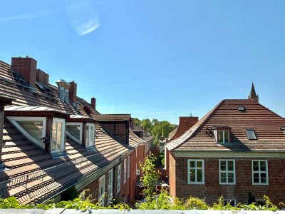 Wunderschönes Dachgeschoss mit Kamin und Terrasse - inmitten des charmanten Holländerviertels