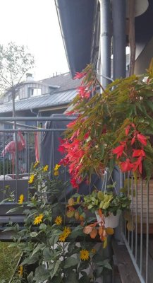 Wunderschöne Eigentumswohnung mitten in St. Georgen im Attergau