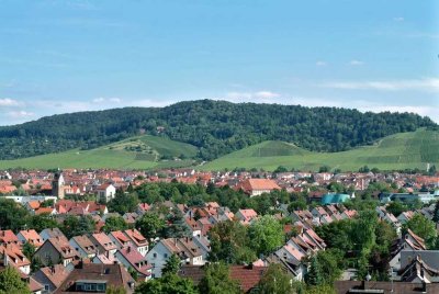 Kleines Wohnparadies - helle 2-Zimmer DG Wohnung zum durchstarten