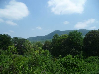 1-Zimmer-DG-Wohnung mit Loggia und Blick auf die Teck
