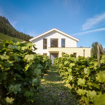 Frei geplantes Traumhaus auf tollem Grundstück