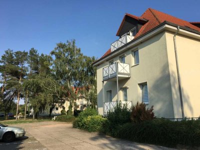 Rein ins frisch renovierte Glück: 2-Zimmer-Wohnung mit Balkon
