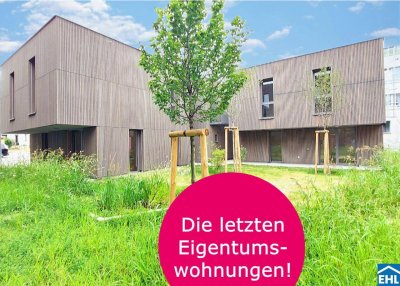Herzlich willkommen zum Projekt WILDGARTEN