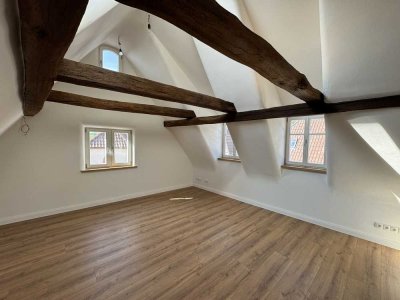Charmante 1,5-Zimmer-DG-Wohnung mit gehobener Ausstattung in Albersweiler