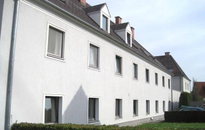 Steyr - Fischhub III - Whg. Nr. I/1/8