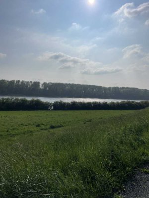 Wunderschöne 3 Zimmer Wohnung in Niederkassel Rheidt