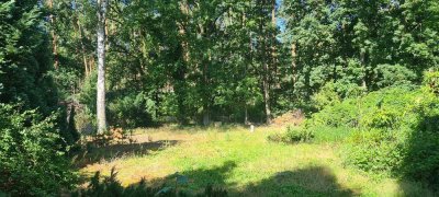 Geräumiges Haus auf Grundstück am Wald in Michendorf Six