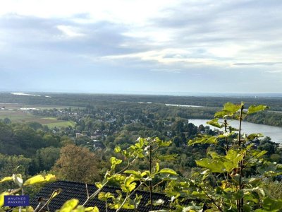 Donaublick traumhaft - Einfamilienhaus mit fantastischen Ausblick über die Donauauen und in das Weinviertel!