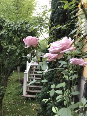 Teilmöblierte 2-Raumwohnung mit großer Terrasse