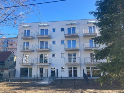 WOHNEN AM PULS - Vinzenzgasse 19, Neubau-Mietwohnung TOP 9, [GF,VinG19]