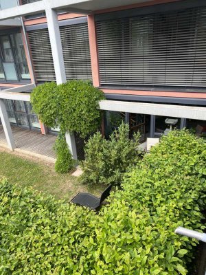 Frisch renovierte, helle 2,5-Zimmer-Maisonette Wohnung mit Terrasse und Garten in der Stadtmitte