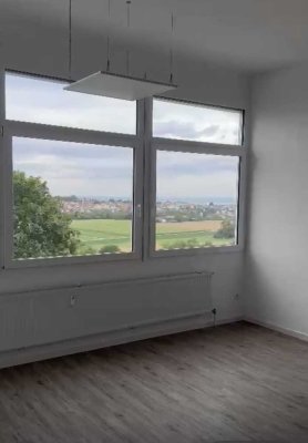 Stilvolle, geräumige und modernisierte 2,5-Zimmer-Wohnung mit EBK in Leonberg