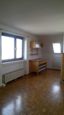 Schöne helle großzügige Einzimmerwohnung