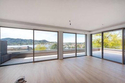 BEZUGSFERTIG - A8 mit Stadt und Schloß Orth Blick