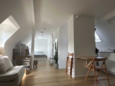 Renovierte 1 Zimmer Wohnung Zentrum Freiburg