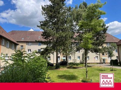Renovierte 3-Zimmer-Wohnung in ruhiger Lage - kurzfristig beziehbar  - "Freie Scholle eG"