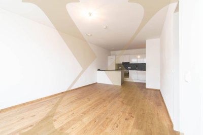 Moderne 2-Zimmer-Wohnung mit Loggia und voll ausgestatteter Küche in Linz zu vermieten! (Top 61)