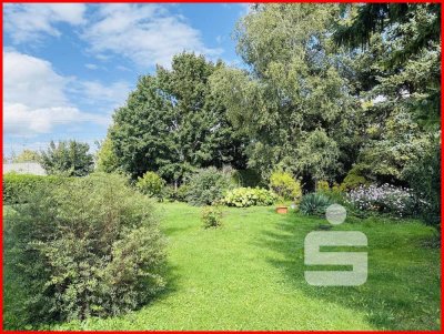 Guter Schnitt sucht Renovierer