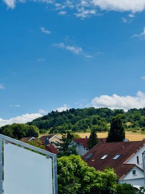 XXL Penthaus  , ruhig gelegen , Traumausblick,mit großer Dachterrasse , Tageslichtbad und 2 WC s
