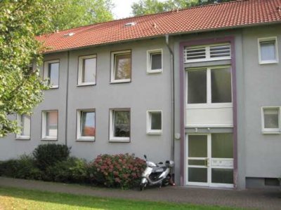 Renovierte 2-Zimmer Erdgeschoss-Wohnung in Essen-Stoppenberg