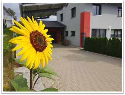 Modernes 5,5-Zimmer-Reiheneckhaus mit gehobener Innenausstattung in Diedorf Anhausen