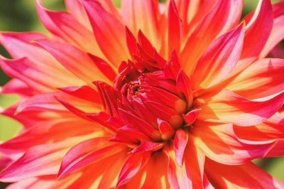 Exklusive & klimaneutrale Doppelhaushälfte mit Garten in Herten