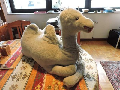 Sei kein Kamel - Kaufe statt Miete zu zahlen