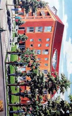 Gepflegte 3-Zimmer-Wohnung mit Balkon/Terrasse und Einbauküche in Potsdam-kirchsteigfeld