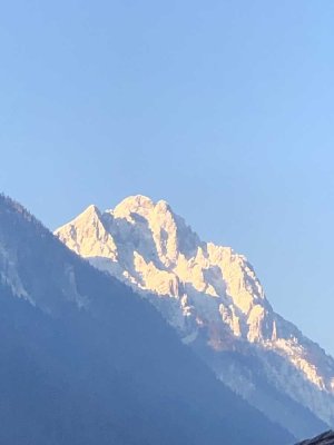 Sehr schöne 1-Zi. Terrassen-Wohnung mit Bergblick im Grünen