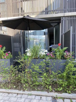 Stilvolle, vollständig renovierte 1-Zimmer-Terrassenwohnung mit Balkon und EBK in Olching