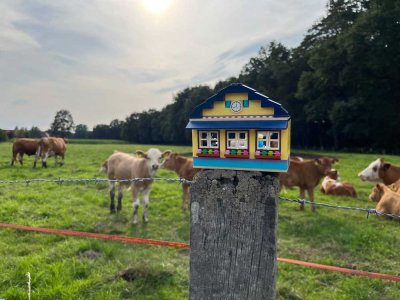 Landhaus Alleinlage Nähe Versmold