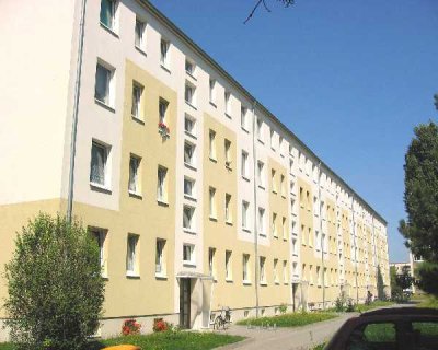 Frisch sanierte Familienwohnung im Grünen.