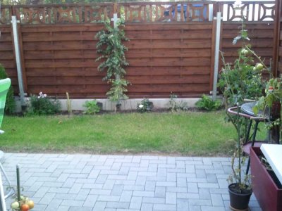 Hübsche, sonnige Terrassenwohnung