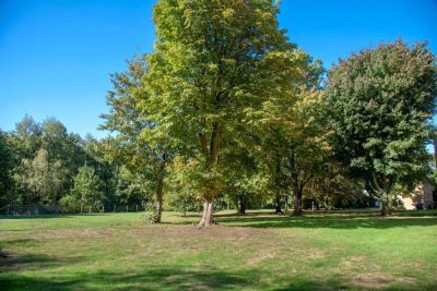 3 Zimmer, 2 Balkone, 1 GästeWC