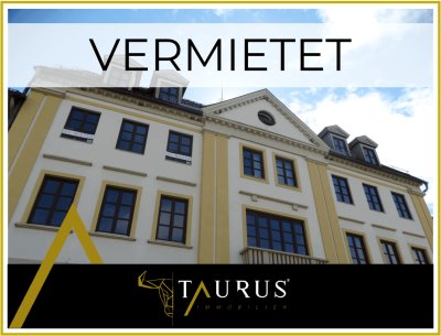 Helle, großzügige Wohnung am Hauptplatz + Süd-Balkon