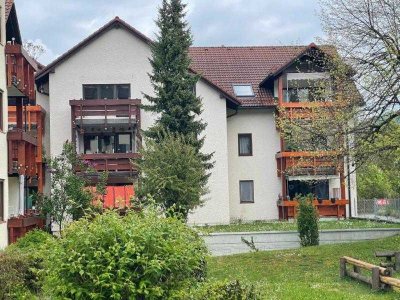 Sofort beziehbar! Interessante 3 Zimmer-Wohnung mit Blick ins Grüne!