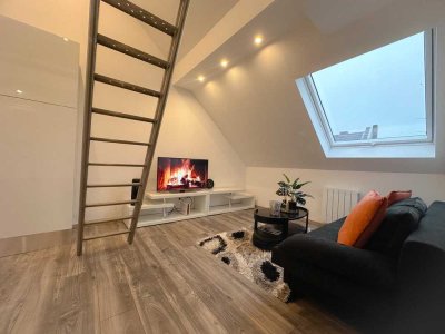 Neuausgebaute und vollmöbelierte Wohnung zu vermieten