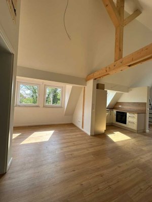 Stilvolle Dachgeschosswohnung in Scheibenhardt