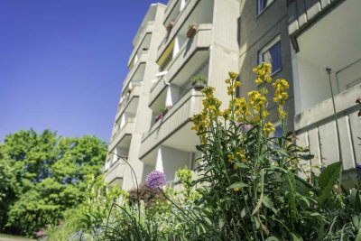 3-Raum-Wohnung nahe botanischer Garten