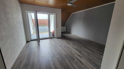 Geschmackvolle 2-Raum-DG-Wohnung mit Balkon und Einbauküche in Darmstadt