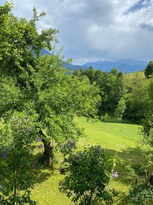 Ruhige helle Wohnung mit toller Aussicht - Freizeitwohnsitz!!!